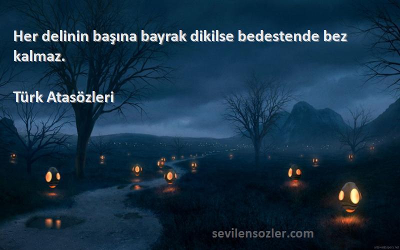 Türk Atasözleri - Her delinin başına bayrak dikilse bedestende bez kalmaz.