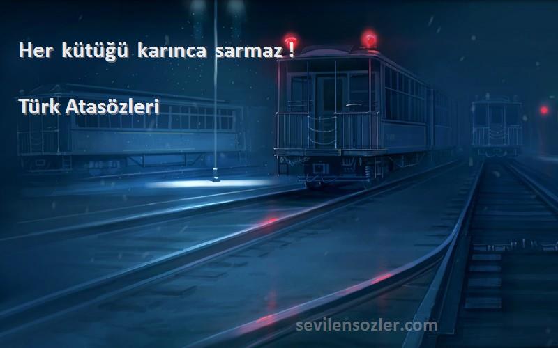 Türk Atasözleri - Her kütüğü karınca sarmaz !