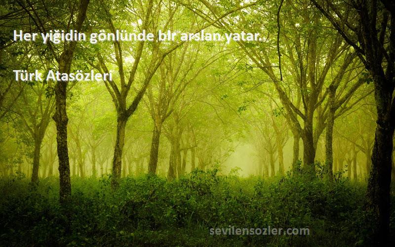 Türk Atasözleri - Her yiğidin gönlünde bir arslan yatar.