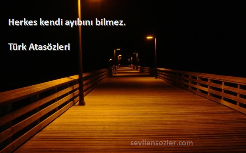 Türk Atasözleri - Herkes kendi ayıbını bilmez.