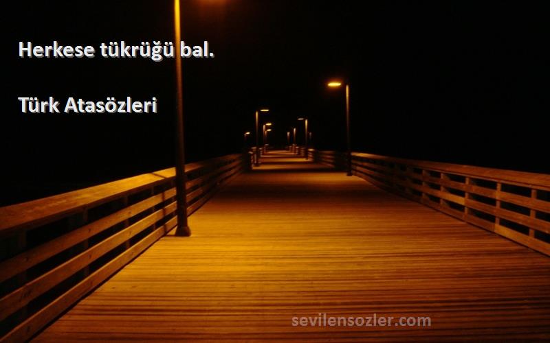 Türk Atasözleri - Herkese tükrüğü bal.