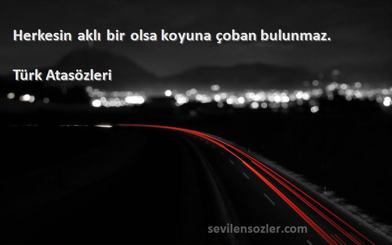 Türk Atasözleri - Herkesin aklı bir olsa koyuna çoban bulunmaz.