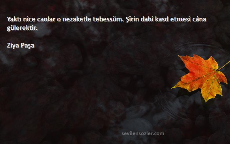 Ziya Paşa - Yaktı nice canlar o nezaketle tebessüm. Şîrin dahi kasd etmesi câna gülerektir.