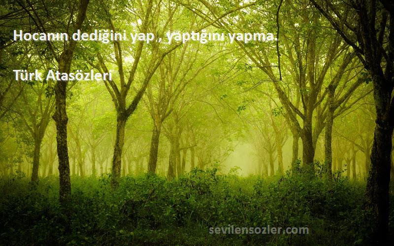 Türk Atasözleri - Hocanın dediğini yap , yaptığını yapma.