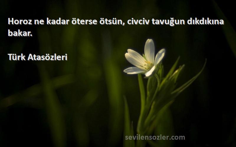 Türk Atasözleri - Horoz ne kadar öterse ötsün, civciv tavuğun dıkdıkına bakar.