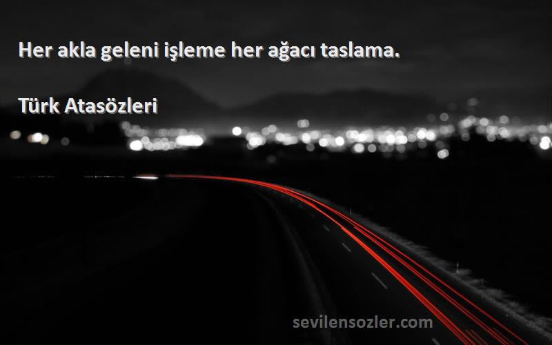 Türk Atasözleri - Her akla geleni işleme her ağacı taslama.