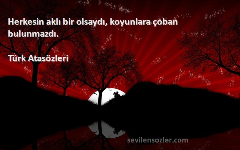 Türk Atasözleri - Herkesin aklı bir olsaydı, koyunlara çoban bulunmazdı.