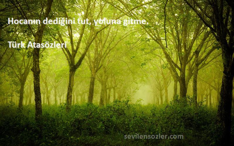 Türk Atasözleri - Hocanın dediğini tut, yoluna gitme.
