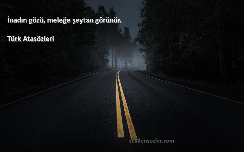 Türk Atasözleri - İnadın gözü, meleğe şeytan görünür.