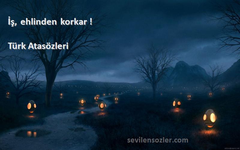 Türk Atasözleri - İş, ehlinden korkar !