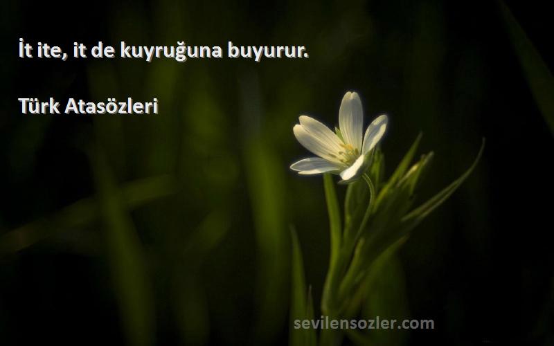 Türk Atasözleri - İt ite, it de kuyruğuna buyurur.