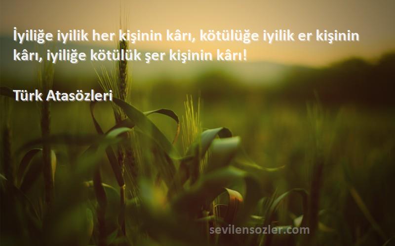 Türk Atasözleri - İyiliğe iyilik her kişinin kârı, kötülüğe iyilik er kişinin kârı, iyiliğe kötülük şer kişinin kârı!