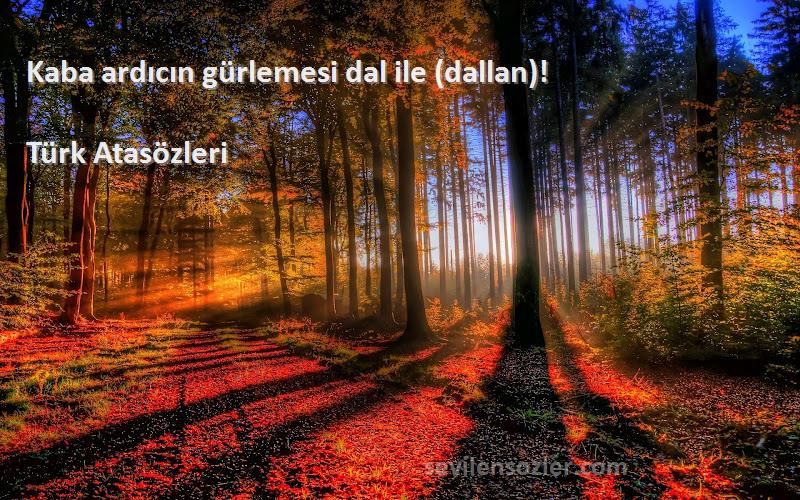 Türk Atasözleri - Kaba ardıcın gürlemesi dal ile (dallan)!