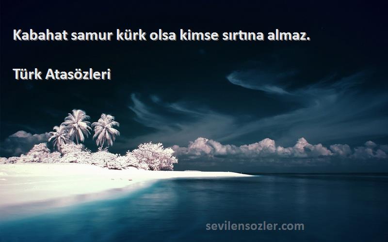Türk Atasözleri Sözleri 
Kabahat samur kürk olsa kimse sırtına almaz.