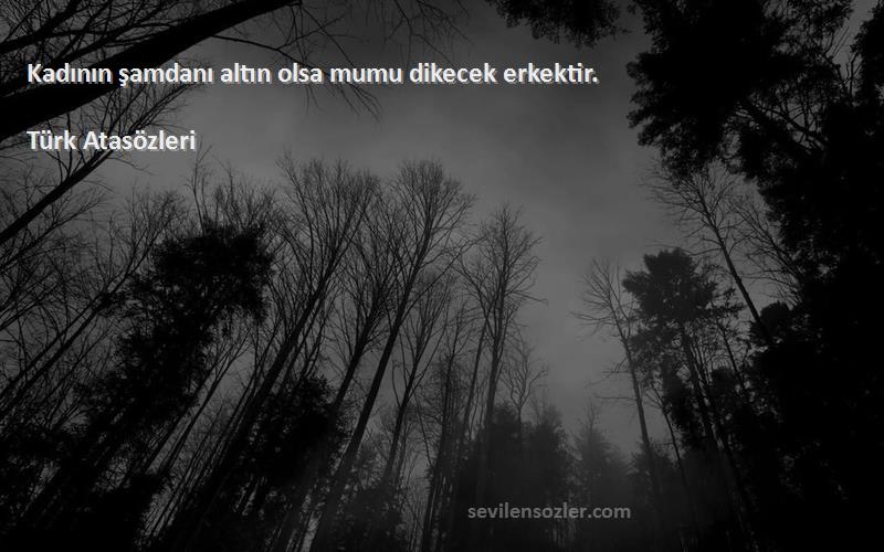 Türk Atasözleri - Kadının şamdanı altın olsa mumu dikecek erkektir.