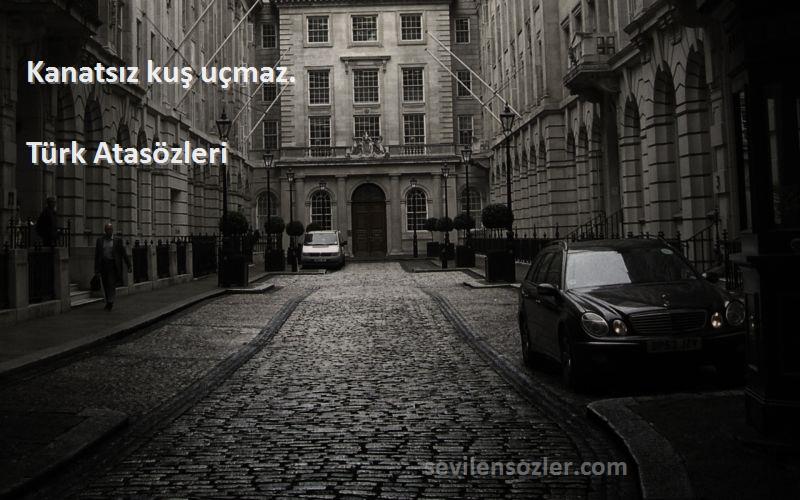 Türk Atasözleri - Kanatsız kuş uçmaz.