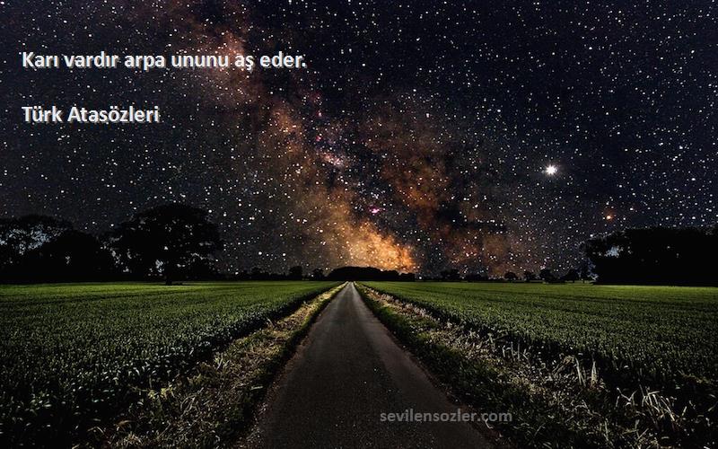 Türk Atasözleri - Karı vardır arpa ununu aş eder.
