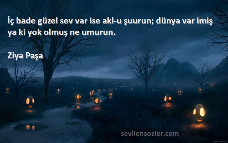 Ziya Paşa Sözleri 
İç bade güzel sev var ise akl-u şuurun; dünya var imiş ya ki yok olmuş ne umurun.