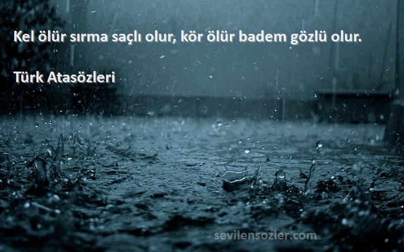 Türk Atasözleri Sözleri 
Kel ölür sırma saçlı olur, kör ölür badem gözlü olur.