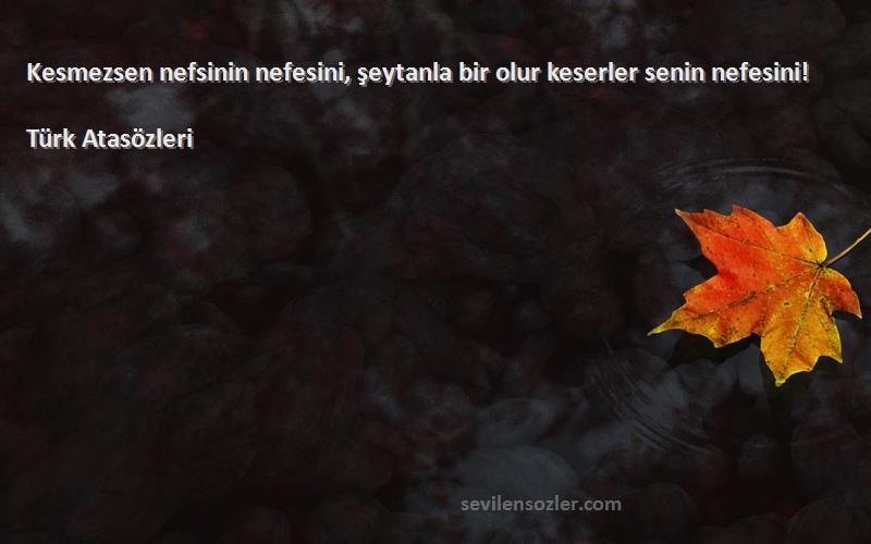 Türk Atasözleri - Kesmezsen nefsinin nefesini, şeytanla bir olur keserler senin nefesini!