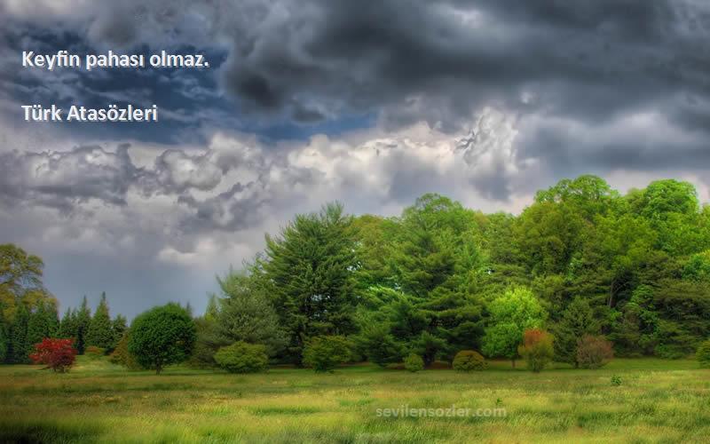 Türk Atasözleri - Keyfin pahası olmaz.