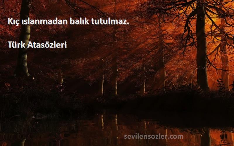 Türk Atasözleri - Kıç ıslanmadan balık tutulmaz.