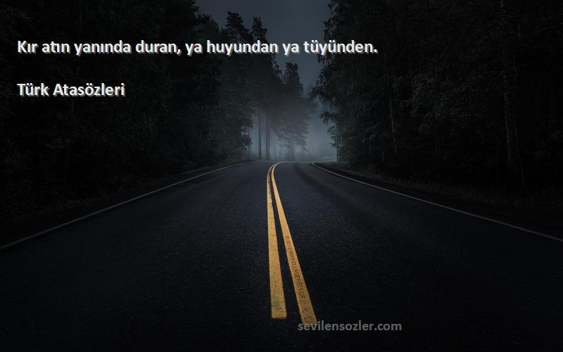 Türk Atasözleri - Kır atın yanında duran, ya huyundan ya tüyünden.