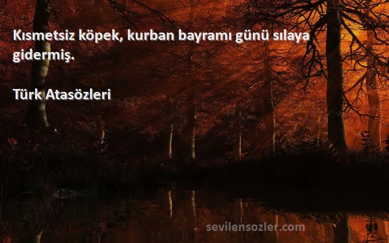 Türk Atasözleri - Kısmetsiz köpek, kurban bayramı günü sılaya gidermiş.