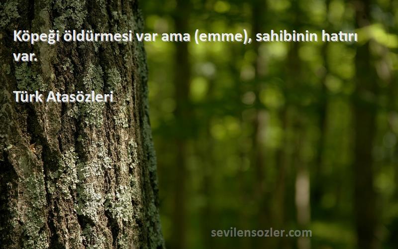 Türk Atasözleri - Köpeği öldürmesi var ama (emme), sahibinin hatırı var.