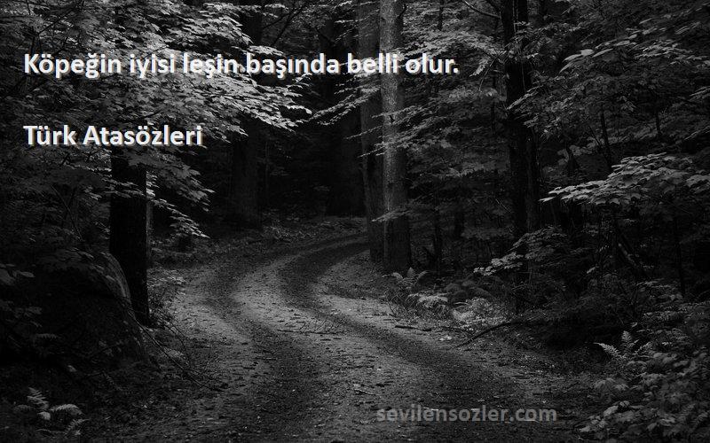 Türk Atasözleri - Köpeğin iyisi leşin başında belli olur.