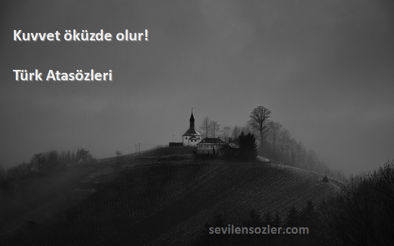 Türk Atasözleri - Kuvvet öküzde olur!