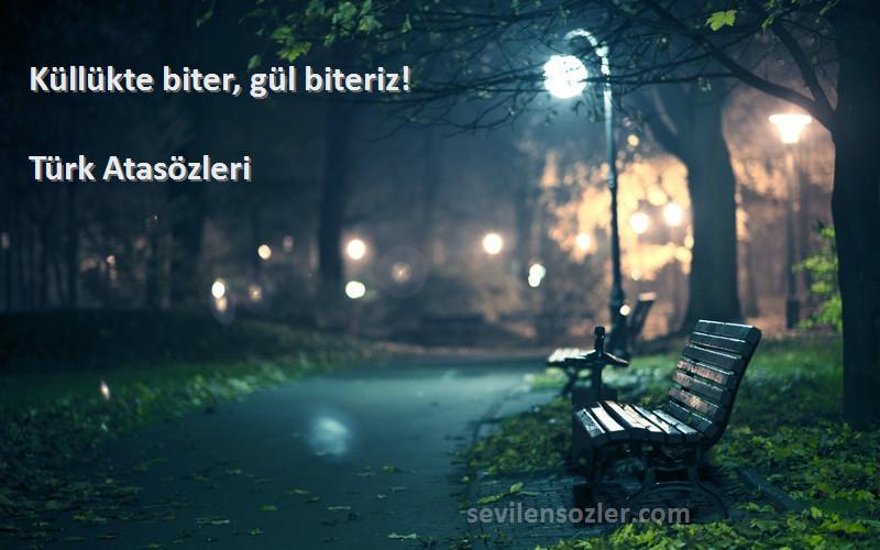 Türk Atasözleri - Küllükte biter, gül biteriz!