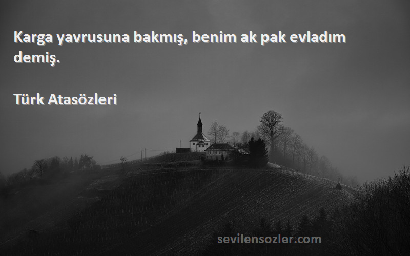Türk Atasözleri - Karga yavrusuna bakmış, benim ak pak evladım demiş.
