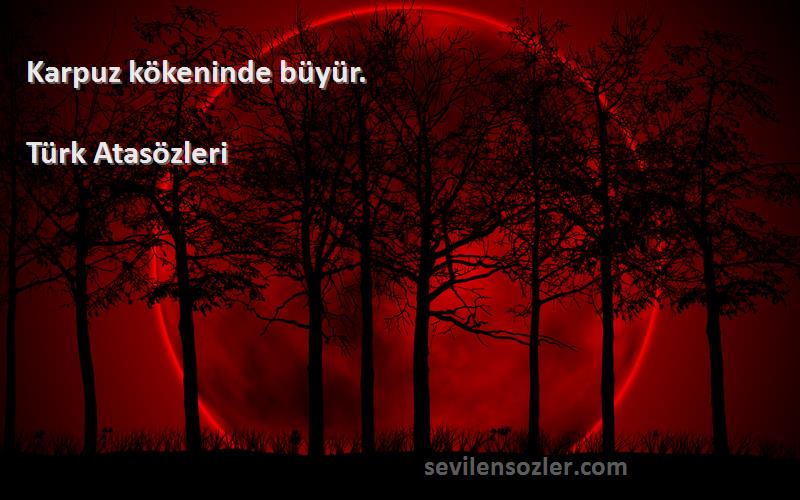 Türk Atasözleri - Karpuz kökeninde büyür.