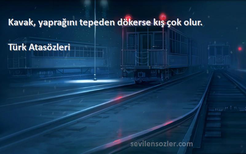 Türk Atasözleri - Kavak, yaprağını tepeden dökerse kış çok olur.
