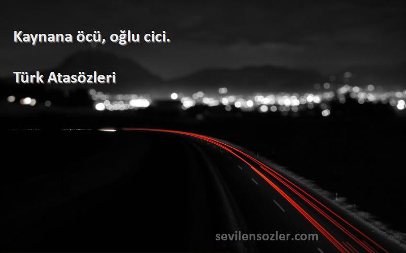 Türk Atasözleri Sözleri 
Kaynana öcü, oğlu cici.