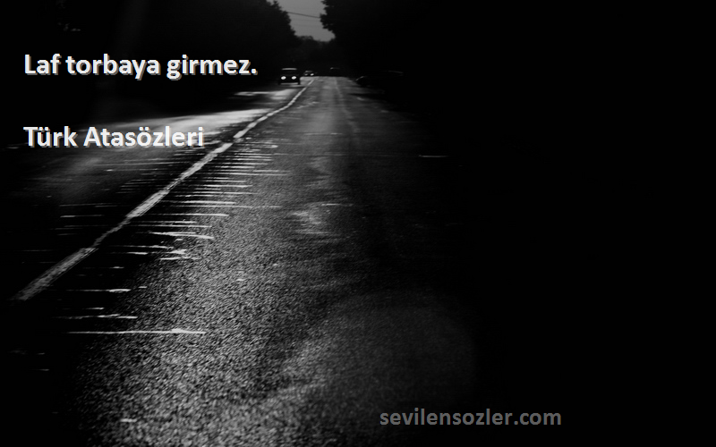 Türk Atasözleri Sözleri 
Laf torbaya girmez.