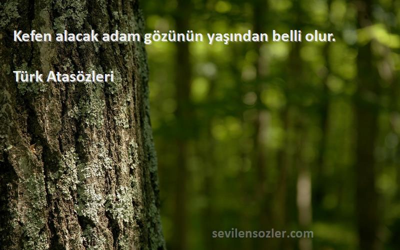 Türk Atasözleri - Kefen alacak adam gözünün yaşından belli olur.