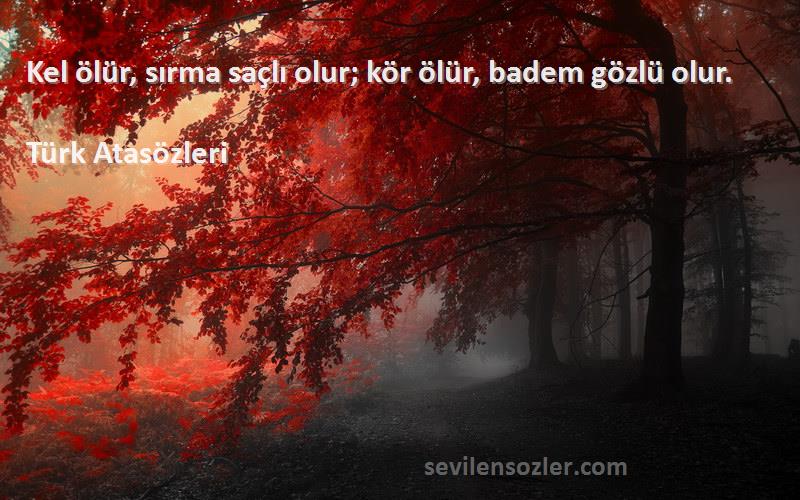 Türk Atasözleri Sözleri 
Kel ölür, sırma saçlı olur; kör ölür, badem gözlü olur.