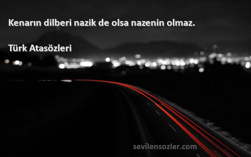 Türk Atasözleri - Kenarın dilberi nazik de olsa nazenin olmaz.