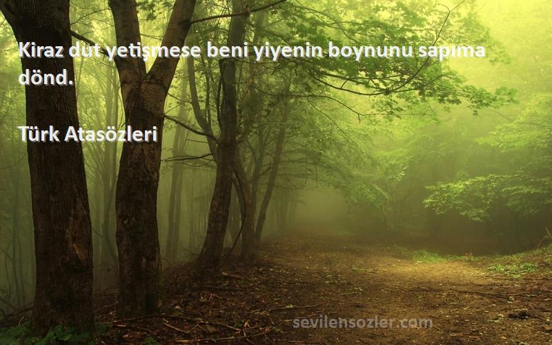 Türk Atasözleri - Kiraz dut yetişmese beni yiyenin boynunu sapıma dönd.