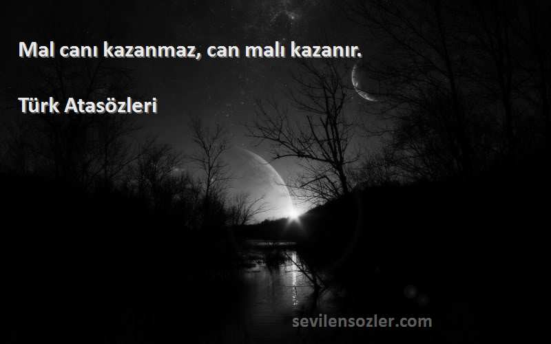 Türk Atasözleri - Mal canı kazanmaz, can malı kazanır.