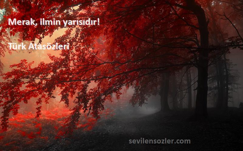 Türk Atasözleri - Merak, ilmin yarısıdır!
