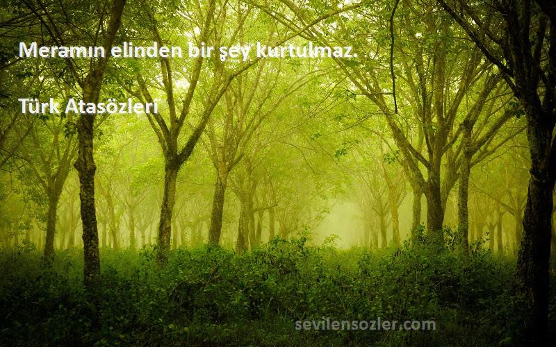Türk Atasözleri Sözleri 
Meramın elinden bir şey kurtulmaz.