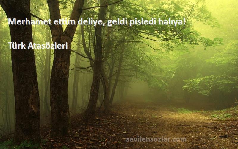 Türk Atasözleri - Merhamet ettim deliye, geldi pisledi halıya!