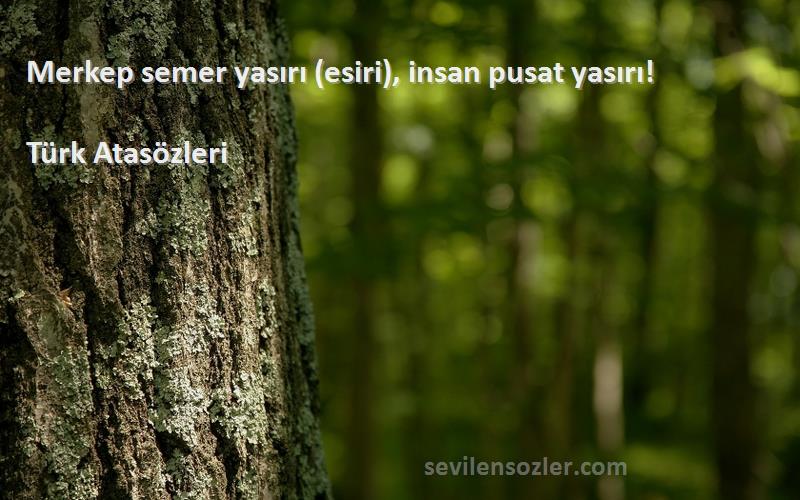 Türk Atasözleri - Merkep semer yasırı (esiri), insan pusat yasırı!