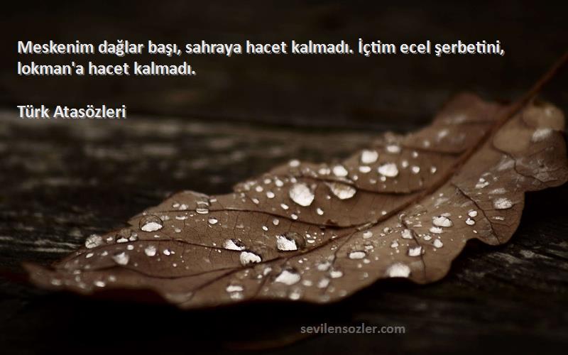 Türk Atasözleri - Meskenim dağlar başı, sahraya hacet kalmadı. İçtim ecel şerbetini, lokman'a hacet kalmadı.