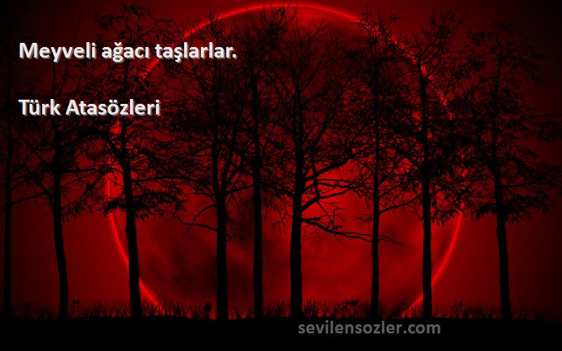 Türk Atasözleri - Meyveli ağacı taşlarlar.