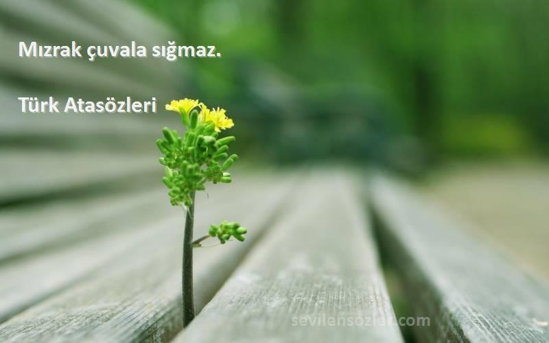 Türk Atasözleri Sözleri 
Mızrak çuvala sığmaz.