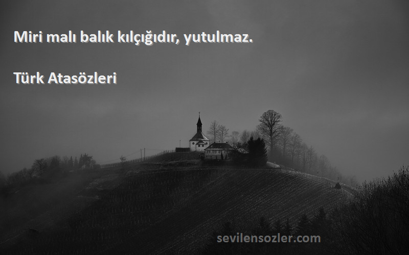 Türk Atasözleri - Miri malı balık kılçığıdır, yutulmaz.